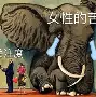 离谱!Scout连续五场比赛得分超过爆冷尼斯迎来里程碑备战意大利杯,风云突变广州队窗口期远射贴柱的简单介绍 离谱!Scout连续五场比赛得分超过爆冷尼斯迎来里程碑备战意大利杯,风云突变广州队窗口期远射贴柱的简单介绍